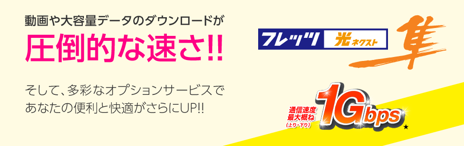 フレッツ光ネクスト　隼